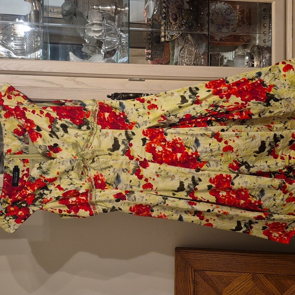 Teri Jon Floral Print Women´s Dress